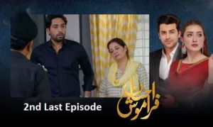 Ehsaan Faramosh 2nd Last Episode - Pakistani Drama Story Review cast