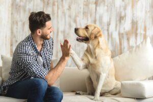 Happy Pup: Positive Reinforcement Dog Training